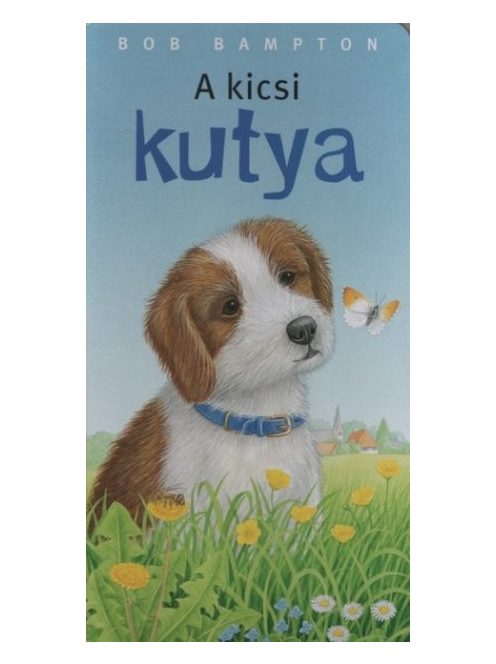 A kicsi kutya