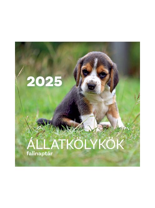 Állatkölykök falinaptár 2025