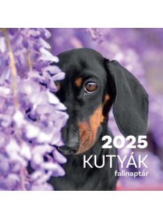 Kutyák falinaptár 2025