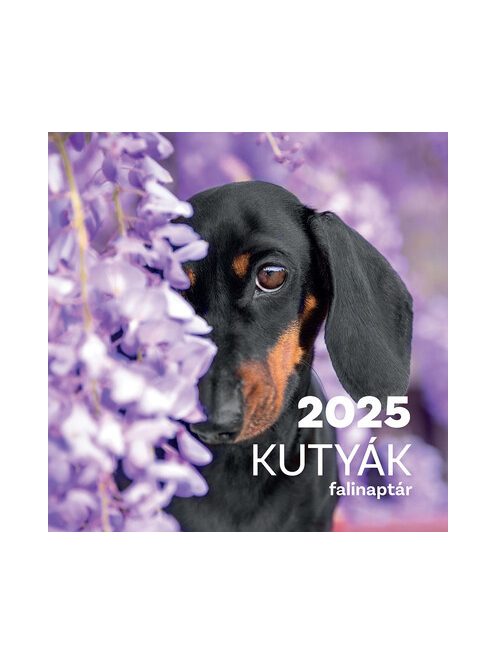 Kutyák falinaptár 2025