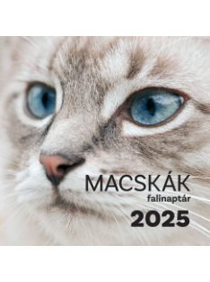 Macskák falinaptár 2025