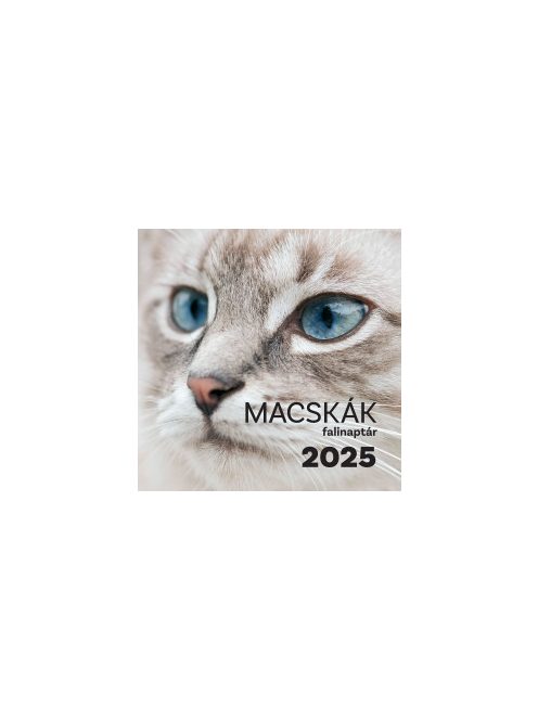 Macskák falinaptár 2025