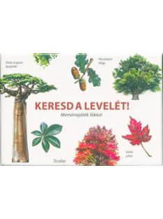 Keresd a levelét! - Memóriajáték fákkal