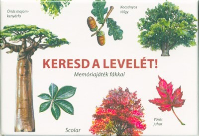 Keresd a levelét! - Memóriajáték fákkal - Kártya  témájú könyvek és olvasmányok