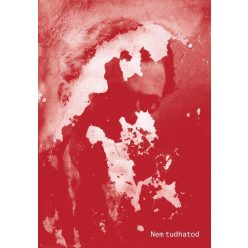 Nem tudhatod - Irodalomtörténet  témájú könyvek és olvasmányok