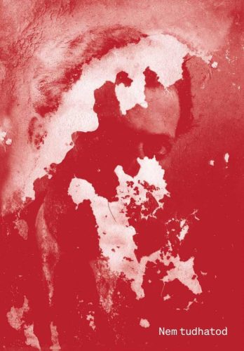 Nem tudhatod - Irodalomtörténet  témájú könyvek és olvasmányok