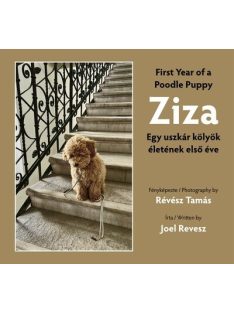 Ziza - Egy uszkár kölyök életének első éve