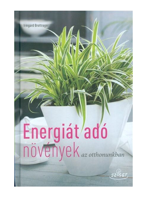 Energiát adó növények az otthonunkban