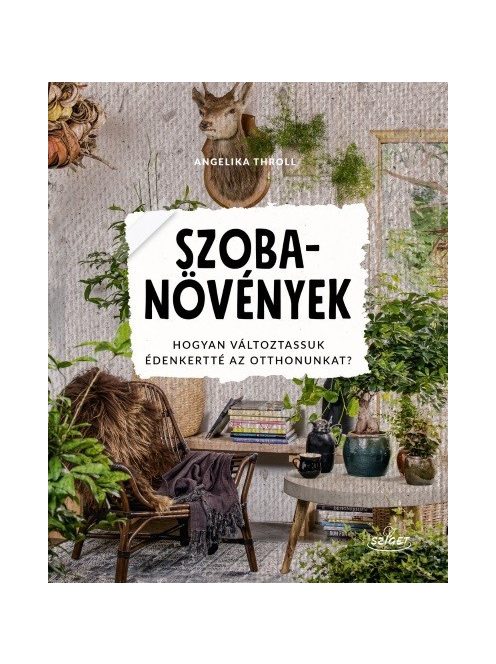 Szobanövények - Hogyan változtassuk édenkertté az otthonunkat?