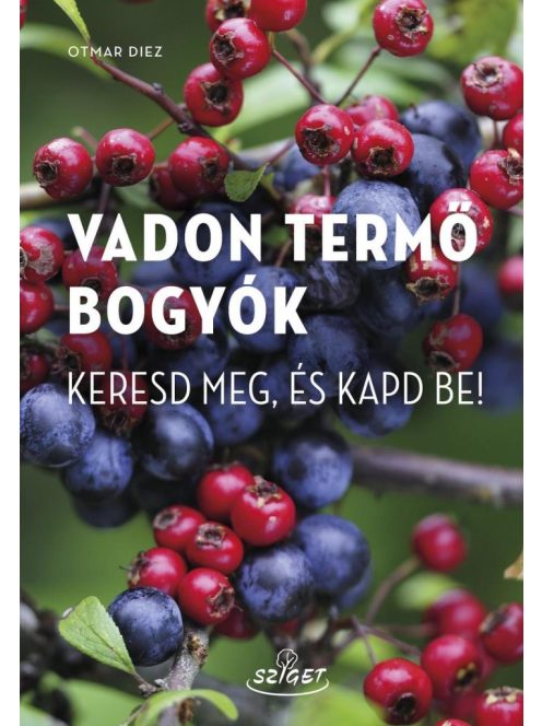 Vadon termő bogyók - Keresd meg, és kapd be!