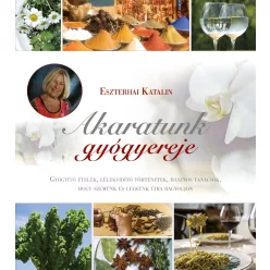 Akaratunk gyógyereje (2. kiadás)