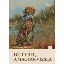 Betyár, a magyar vizsla - Természet tisztelete