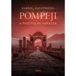 Pompeji - A pusztulás varázsa - Ismeretterjesztő  témájú könyvek és olvasmányok