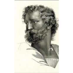 Hagyomány és forradalom - Politikafilozófiai írások - Politika  témájú könyvek és olvasmányok