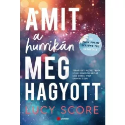 Amit a hurrikán meghagyott - Romantikus  témájú könyvek és olvasmányok