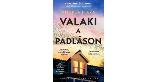 Valaki a padláson