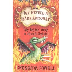 Így fejtsd meg a tűzkő titkát - Így neveld a sárkányodat 5. - Fantasy  témájú könyvek és olvasmányok