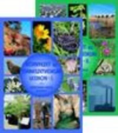 Környezet- és természetvédelmi lexicon I-II. - Természettudomány, technika természetgyógyászati és alternatív szemléletű könyvek