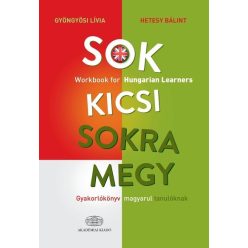 Sok kicsi sokra megy (angol) - Gyakorlókönyv magyarul tanulóknak - Workbook for Hungarian Learners - Magyar  témájú könyvek és olvasmányok