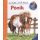 Pónik /Mi? Miért? Hogyan? - Scolar mini 3. - Ismeretterjesztés  témájú könyvek és olvasmányok