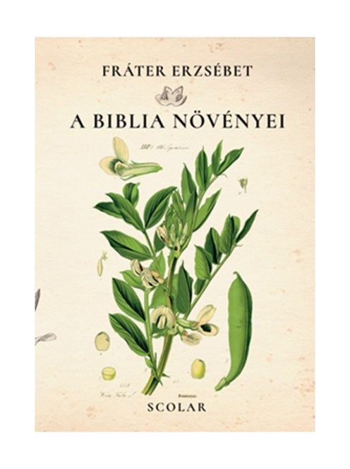 A biblia növényei