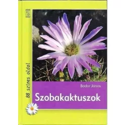 Szobakaktuszok