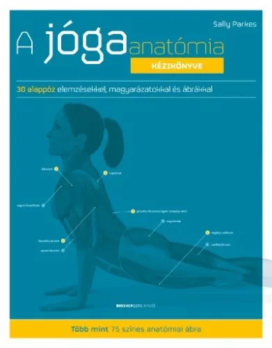 A jógaanatómia kézikönyve - 30 alappóz elemzésekkel, magyarázatokkal ás ábrákkal (új kiadás) - Meditáció, jóga egészségtudatos életmódhoz kapcsolódó könyvek