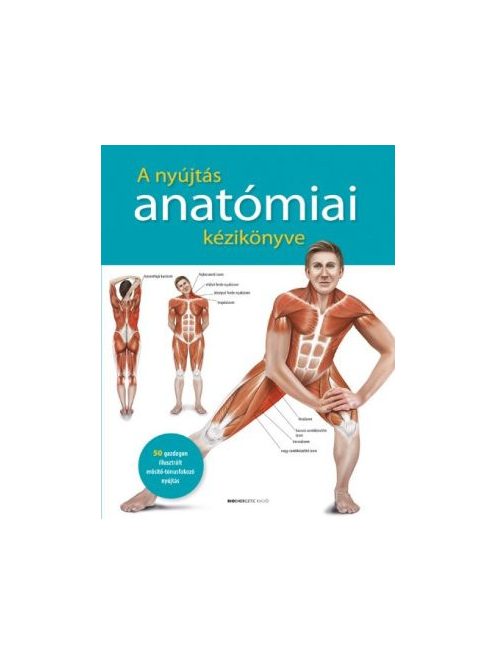 A nyújtás anatómiai kézikönyve - 50 gazdagon illusztrált erősítő-tónusfokozó nyújtás