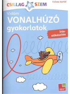   Vonalhúzó gyakorlatok: Írás előkészítés - kék /Csillagszem