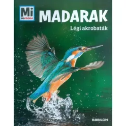 Madarak - Légi akrobaták /Mi Micsoda - Ismeretterjesztés  témájú könyvek és olvasmányok