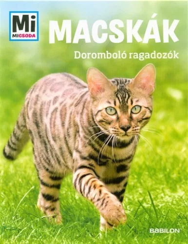 Macskák - Doromboló ragadozók /Mi Micsoda - Ismeretterjesztés  témájú könyvek és olvasmányok