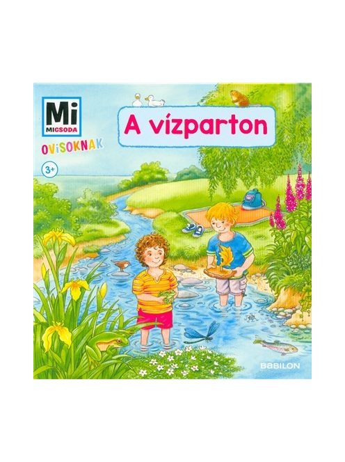 A vízparton - Mi Micsoda Ovisoknak