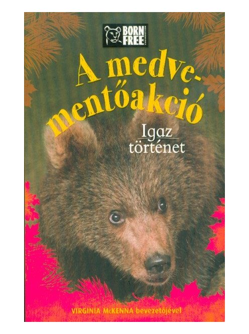 A medve-mentőakció - Igaz történet