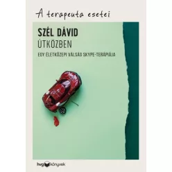   Útközben - Egy életközepi válság Skype-terápiája /A terapeuta esetei