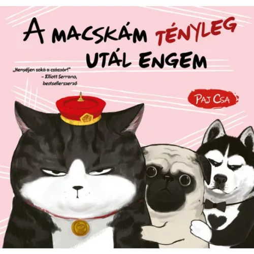 A macskám tényleg utál engem - Macska és Kutya 2. - Képregények  témájú könyvek és olvasmányok