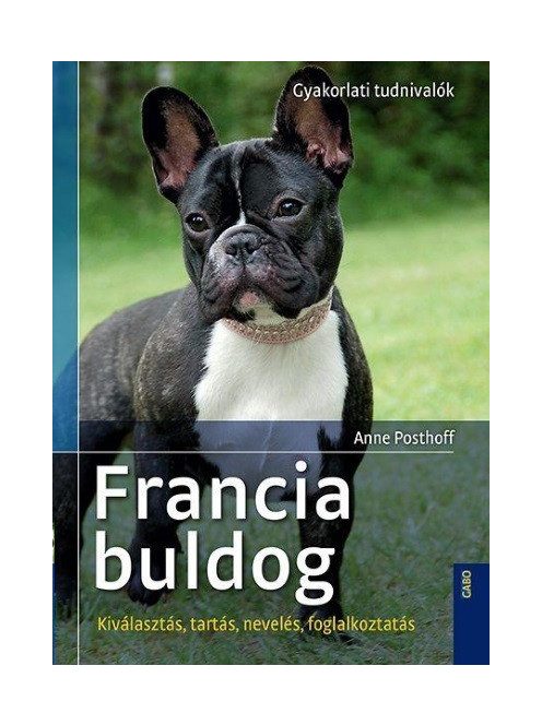 Francia bulldog - Gyakorlati tudnivalók /Kiválasztás, tartás, nevelés, foglalkoztatás
