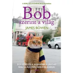   Bob szerint a világ - Egy férfi és mindenben jártas macskája további kalandjai