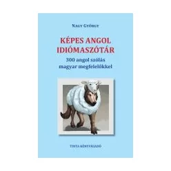 Képes angol idiómaszótár - 300 angol szólás magyar megfelelőkkel - Híd szótárak - Angol  témájú könyvek és olvasmányok