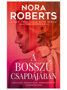 A bosszú csapdájában (új kiadás)