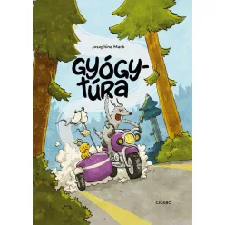 Gyógytúra (képregény)