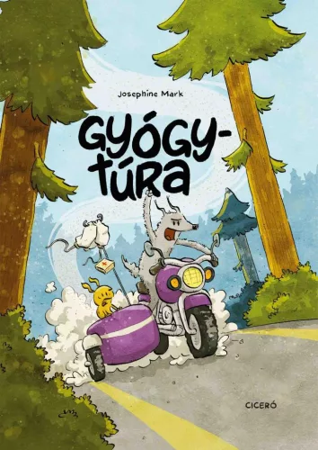 Gyógytúra (képregény)
