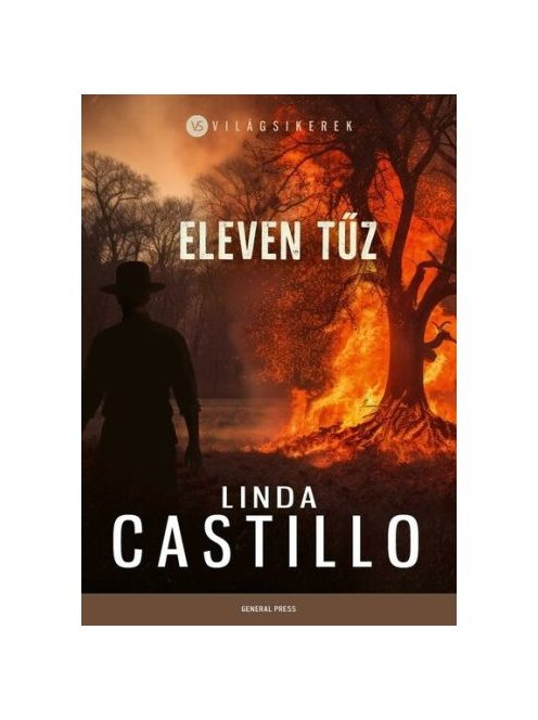 Eleven tűz - Világsikerek