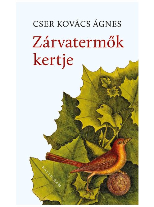 Zárvatermők kertje