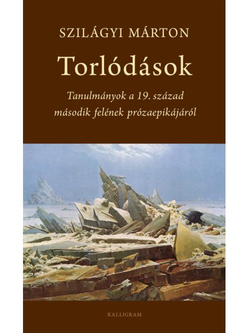 Torlódások - Tanulmányok a 19. század második felének prózaepikájáról