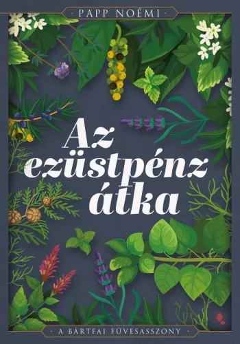 Az ezüstpénz átka - A bártfai füvesasszony 1. - Romantikus  témájú könyvek és olvasmányok