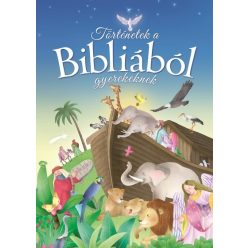 Történetek a Bibliából gyerekeknek - Vallásos könyvek  témájú könyvek és olvasmányok