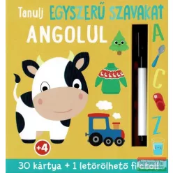 Tanulj egyszerű szavakat angolul - Kártya  témájú könyvek és olvasmányok