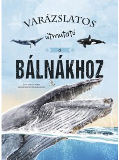 Varázslatos útmutató a bálnákhoz