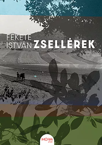 Zsellérek - Magyar szépirodalom  témájú könyvek és olvasmányok