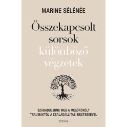 Összekapcsolt sorsok különböző végzetek - Szabaduljunk meg a megörökölt traumáktól a családállítás segítségével - Egészséges test és lélek egészségtudatos életmódhoz kapcsolódó könyvek
